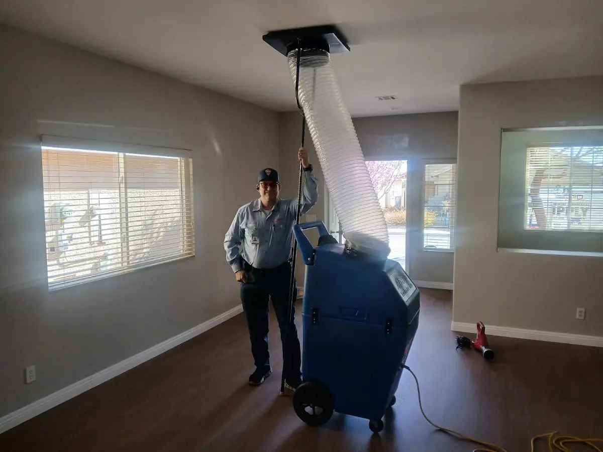 Professional Dryer Vent Cleaning work inside a Attica home
